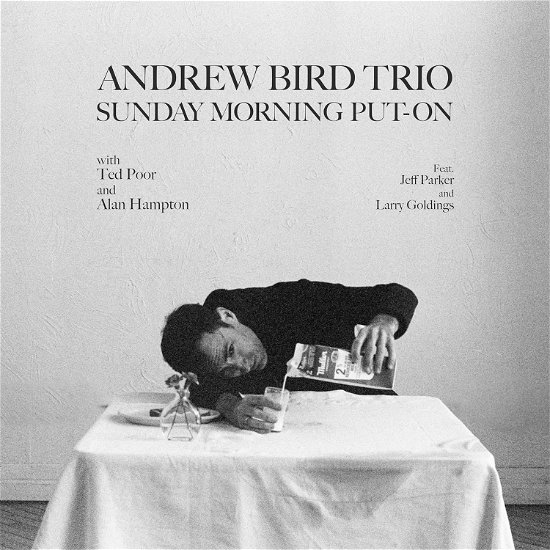 Cover for Andrew Bird Trio · Sunday Morning Put on (CD) (2024)