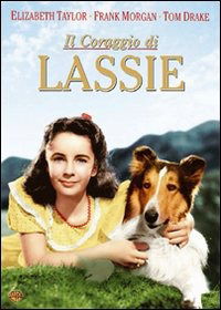 Il Coraggio Di Lassie - Lassie - Films -  - 5051891001039 - 29 januari 2011