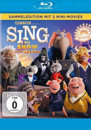 Cover for Keine Informationen · Sing-die Show Deines Lebens (Blu-ray) (2022)