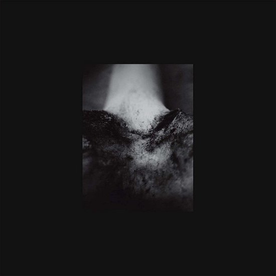 Cover for Common Eider / King Eider · A Wound of Body (Kassett) (2019)