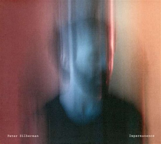 Impermanence - Peter Silberman - Musiikki - TRANSGRESSIVE - 5414939951039 - keskiviikko 12. lokakuuta 2022
