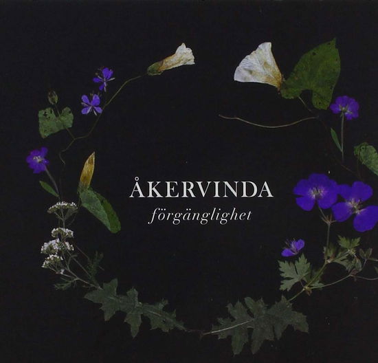 Forgangligheit - Akervinda - Music - VANGUARD - 7320470230039 - September 20, 2019