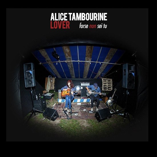 Cover for Alice Tambourine Lover · Forse Non Sei Tu (LP) (2022)