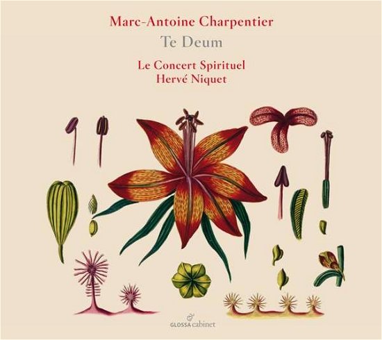 Cover for Le Concert Spirituel / Herve Niquet · Charpentier: Te Deum (CD) (2021)