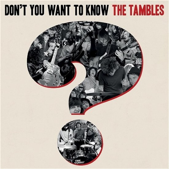 Cover for Tambles · Don't You Want to Know the Tam (LP) (2020)