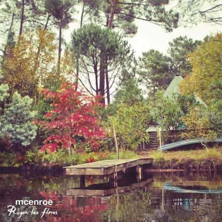 Cover for Mcenroe · Rugen Las Flores (CD) (2015)