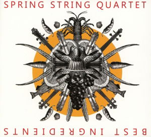 Best Ingredients - Spring String Quartet - Musikk - ATS RECORDS - 9005216009039 - 10. november 2017
