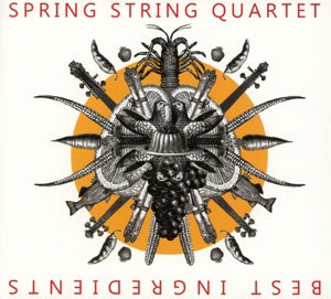 Best Ingredients - Spring String Quartet - Music - ATS - 9005216009039 - November 10, 2017