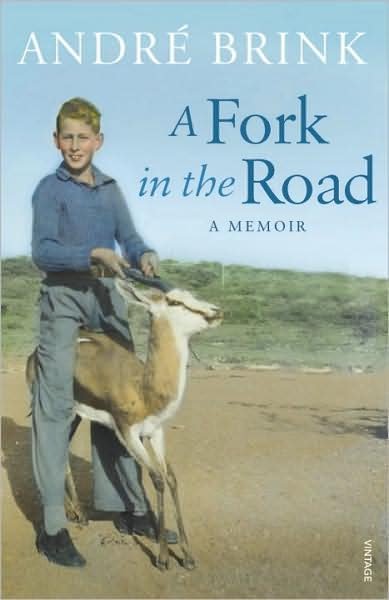 Cover for Andre Brink · A Fork in the Road (Paperback Bog) (2010)