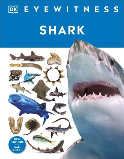 Cover for Dk · Shark - DK Eyewitness (Gebundenes Buch) (2022)