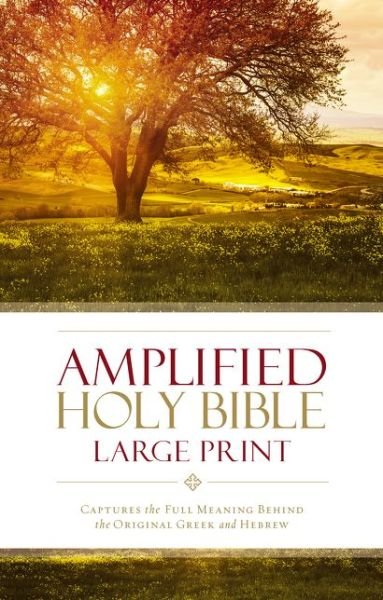 Cover for Zondervan Publishing · Amplified Holy Bible, Large Print, Hardcover: Captures the Full Meaning Behind the Original Greek and Hebrew (Hardcover bog) [Large type / large print edition] (2015)