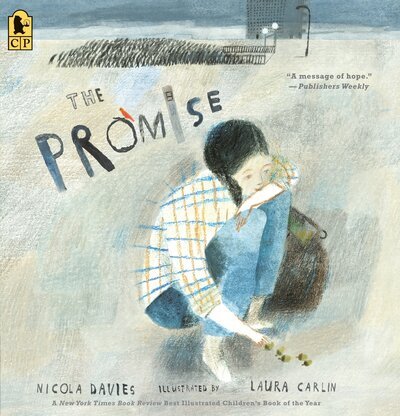 Cover for Nicola Davies · The Promise (Pocketbok) (2017)