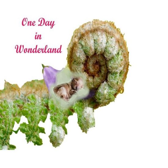 One Day In Wonderland - Dg Aleecia Aien - Bøger - Independently Published - 9781086531039 - 2. august 2019