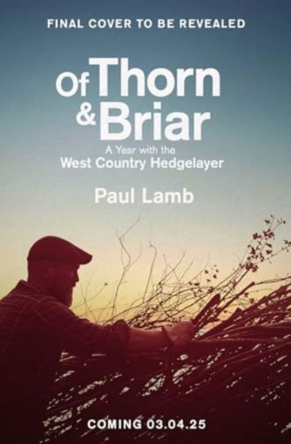 Cover for Paul Lamb · Of Thorn &amp; Briar: A Year with the West Country Hedgelayer (Hardcover Book) (2025)