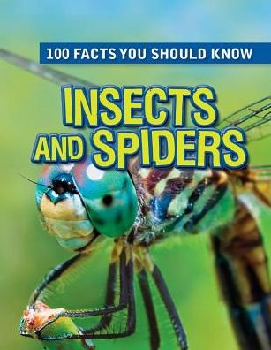 Insects and Spiders - Steve Parker - Libros - Gareth Stevens Publishing - 9781482432039 - 30 de julio de 2015
