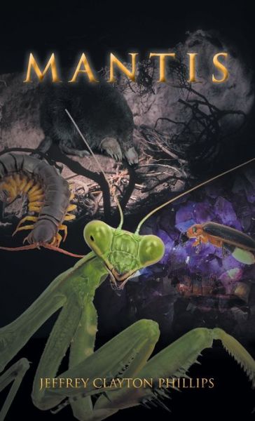 Mantis - Jeffrey Clayton Phillips - Bücher - Newman Springs Publishing, Inc. - 9781648018039 - 17. Januar 2021