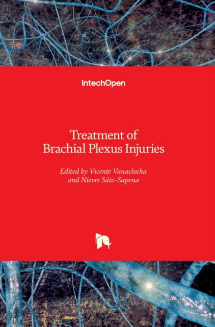 Cover for Vicente Vanaclocha · Treatment of Brachial Plexus Injuries (Innbunden bok) (2019)