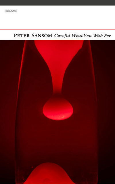 Cover for Peter Sansom · Careful What You Wish for (Paperback Book) (2015)