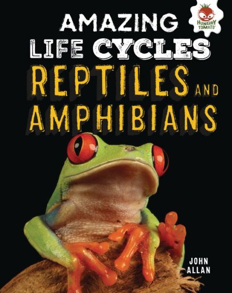 Cover for John Allan · Reptiles and Amphibians (Book) (2019)