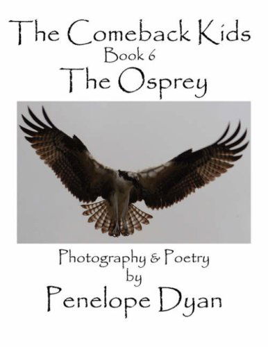 The Comeback Kids, Book 6, the Osprey - Penelope Dyan - Books - Bellissima Publishing LLC - 9781935118039 - June 8, 2008