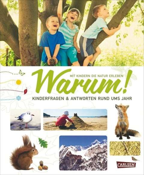 Cover for Stahr · Warum! (Book)