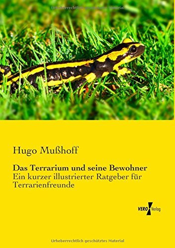 Cover for Hugo Mußhoff · Das Terrarium Und Seine Bewohner: Ein Kurzer Illustrierter Ratgeber Für Terrarienfreunde (Paperback Book) [German edition] (2019)