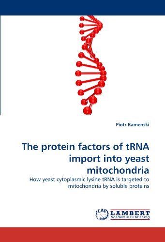 The Protein Factors of Trna Import into Yeast Mitochondria: How Yeast Cytoplasmic Lysine Trna is Targeted to Mitochondria by Soluble Proteins - Piotr Kamenski - Książki - LAP Lambert Academic Publishing - 9783838352039 - 29 czerwca 2010