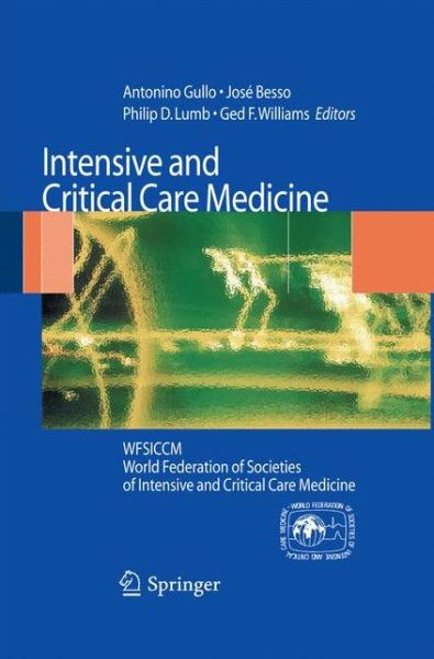 Intensive and Critical Care Medicine: WFSICCM World Federation of Societies of Intensive and Critical Care Medicine - Jose Besso - Książki - Springer Verlag - 9788847056039 - 25 czerwca 2014