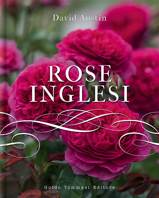 Cover for David Austin · Rose Inglesi (Book)