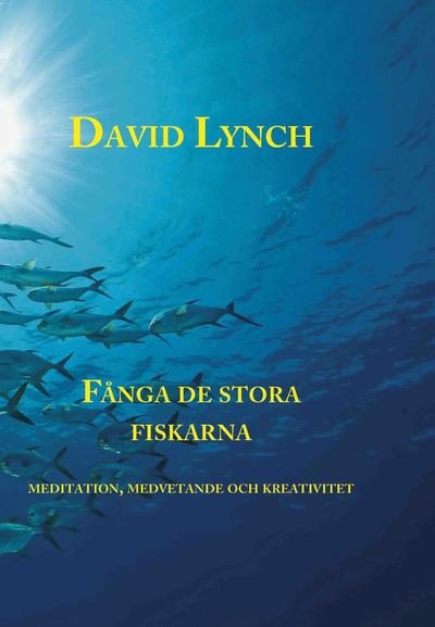 Cover for David Lynch · Fånga de stora fiskarna (Kort) (2011)