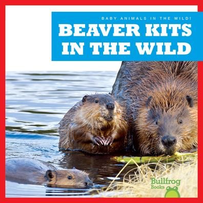 Cover for Chanez · Beaver Kits in the Wild (Buch) (2023)