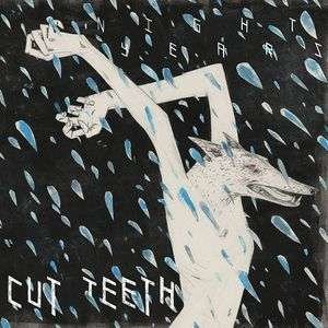 Cover for Cut Teeth · Night Years (LP) [Coloured edition] (2014)