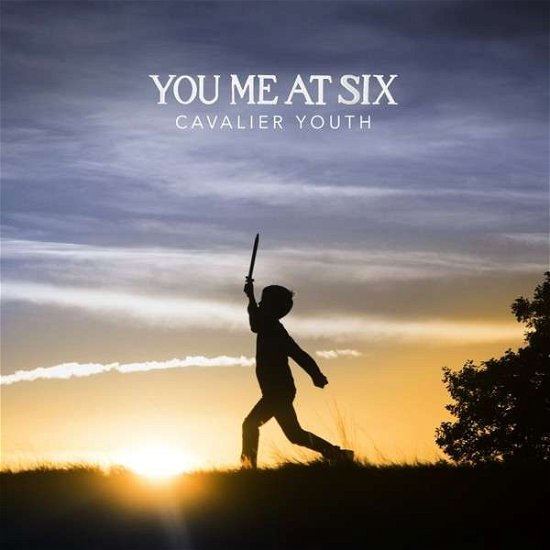 Cover for You Me at Six · Cavalier Youth (LP) (2014)
