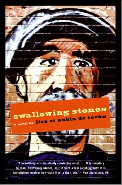 Cover for Lisa St. Aubin De Teran · Swallowing Stones: a Novel (Pocketbok) [International edition] (2006)