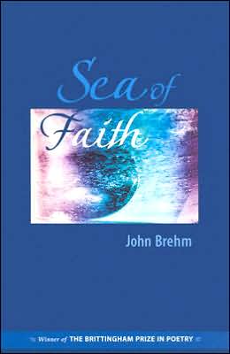 Cover for John Brehm · Sea of Faith - Brittingham Prize in Poetry (Paperback Book) (2004)