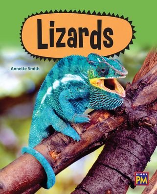 Cover for Rigby · Lizards (Paperback Bog) (2016)