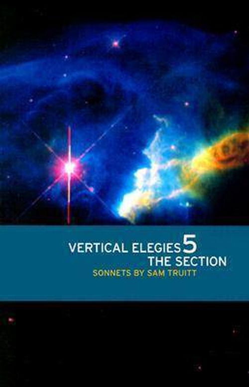 Cover for Sam Truitt · Vertical Elegies 5: The Section - The Contemporary Poetry (Paperback Book) (2003)