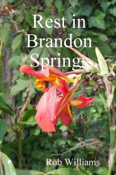 Cover for Rob Williams · Rest in Brandon Springs (Paperback Book) (2015)