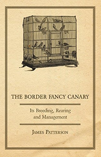 Cover for James Patterson · The Border Fancy Canary - Its Breeding, Rearing and Management (Paperback Book) (2008)