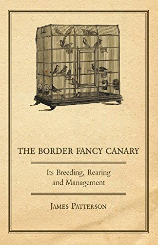 The Border Fancy Canary - Its Breeding, Rearing and Management - James Patterson - Books - Adler Press - 9781409727040 - June 18, 2008