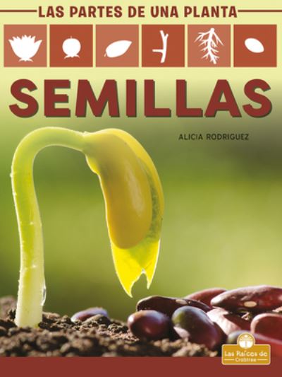 Cover for Alicia Rodriguez · Semillas (Paperback Book) (2021)