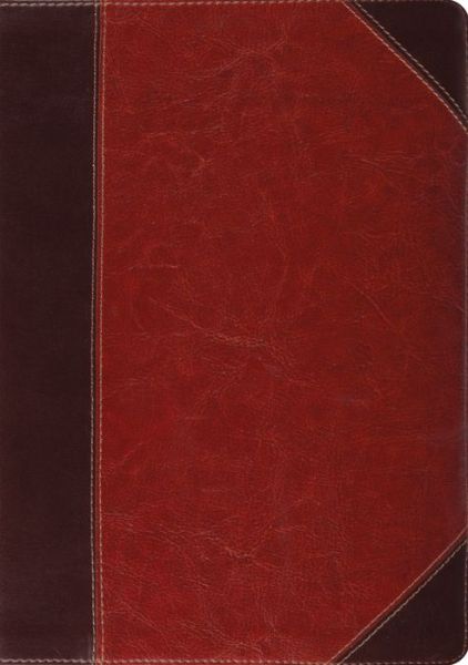 Cover for Crossway Bibles · ESV Study Bible (Skinnbok) [Brown/Cordovan Imitation] (2014)