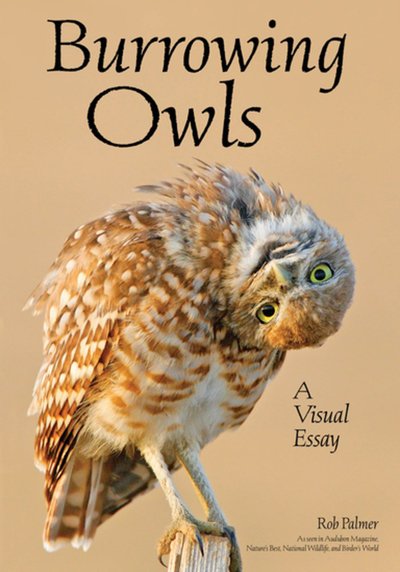 Cover for Rob Palmer · Burrowing Owls: A Visual Essay (Paperback Book) (2019)
