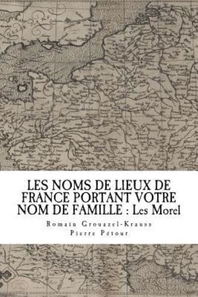 Cover for Romain Grouazel-Krauss · Les Noms de Lieux de France Portant Votre Nom de Famille (Paperback Book) (2018)