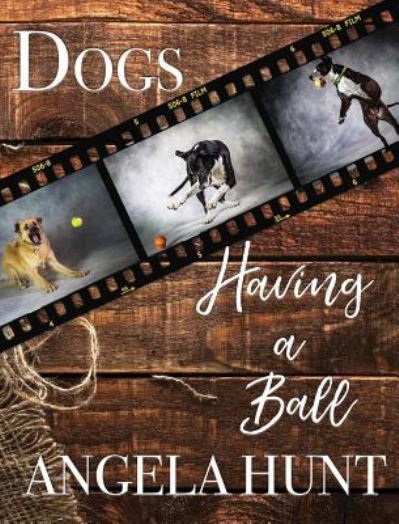 Cover for Angela Hunt · Dogs Having a Ball (Hardcover Book) (2018)