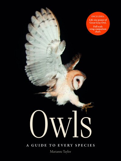 Cover for Marianne Taylor · Owls: A guide to every species (Hardcover bog) (2017)