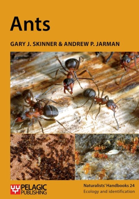 Cover for Gary J. Skinner · Ants - Naturalists' Handbooks (Paperback Book) [2 Revised edition] (2024)