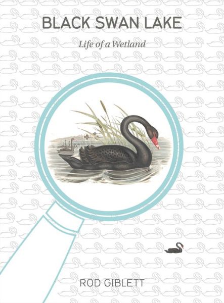 Cover for Rod Giblett · Black Swan Lake: Life of a Wetland - Cultural Studies of Natures, Landscapes and Environments (Paperback Book) (2013)