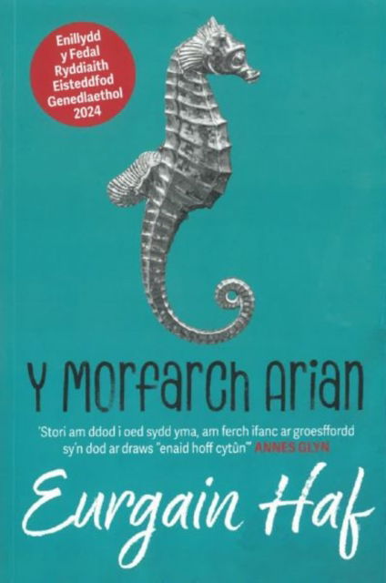 Cover for Eurgain Haf · Y Morfarch Arian - Enillydd y Fedal Ryddiaith 2024 (Paperback Book) (2024)