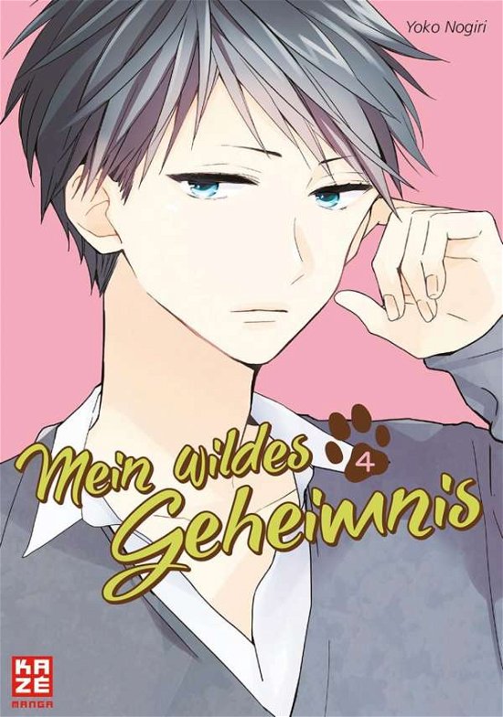 Cover for Nogiri · Mein wildes Geheimnis 04 (Bok)